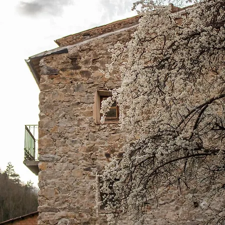 Apartment Acollidor A La Muntanya, Moli 1 Ribes De Freser